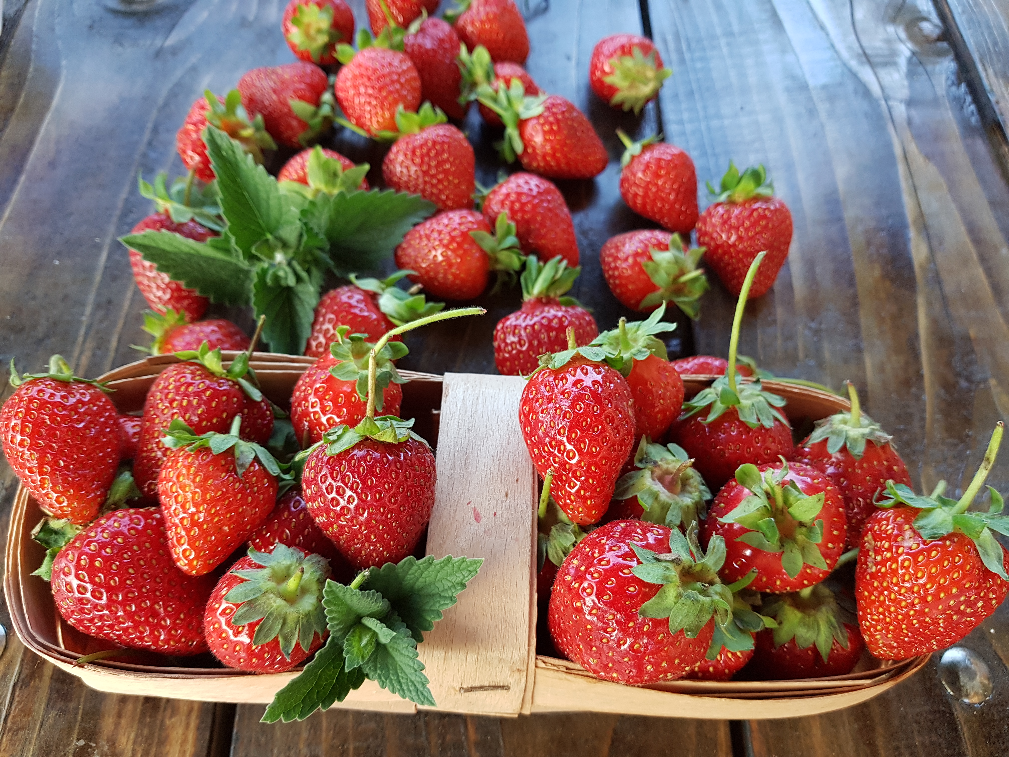 免费照片成熟的草莓放在桌子上