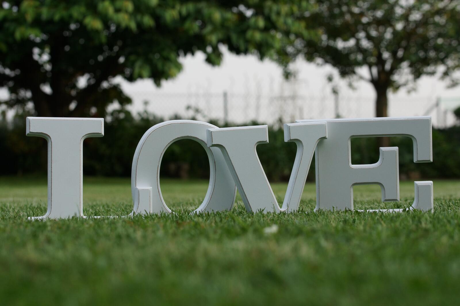 Free photo Big letters on green grass