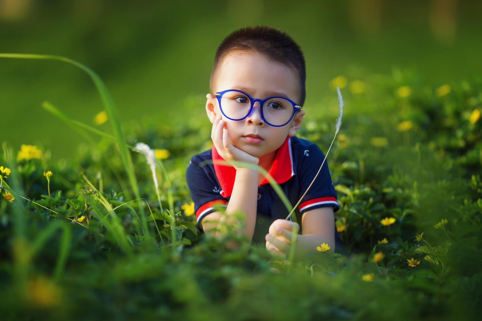 Бесплатное фото Мальчик в очках сидит в высокой зеленой траве