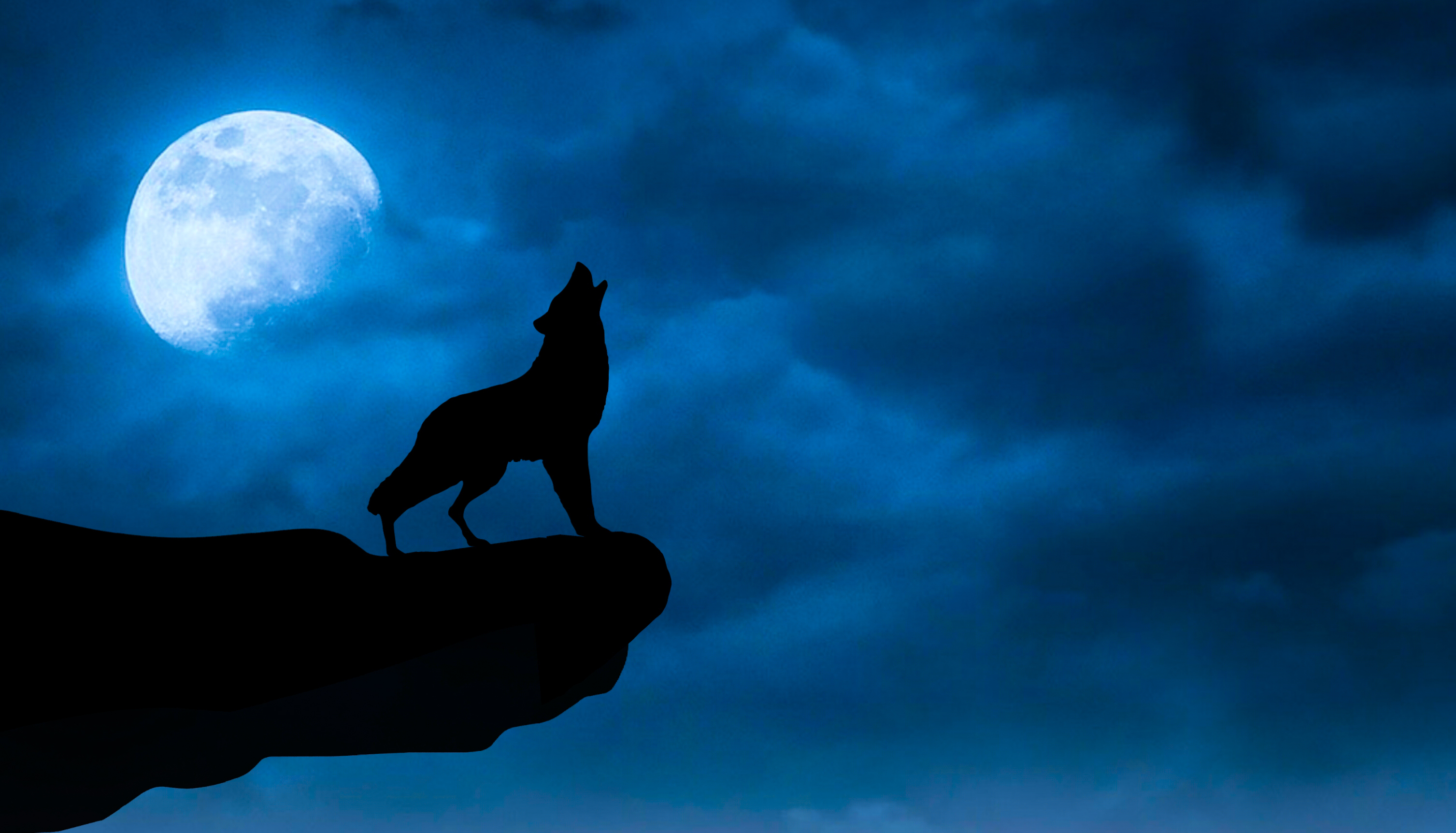 一只狼在悬崖边嚎叫，背景是一轮明月