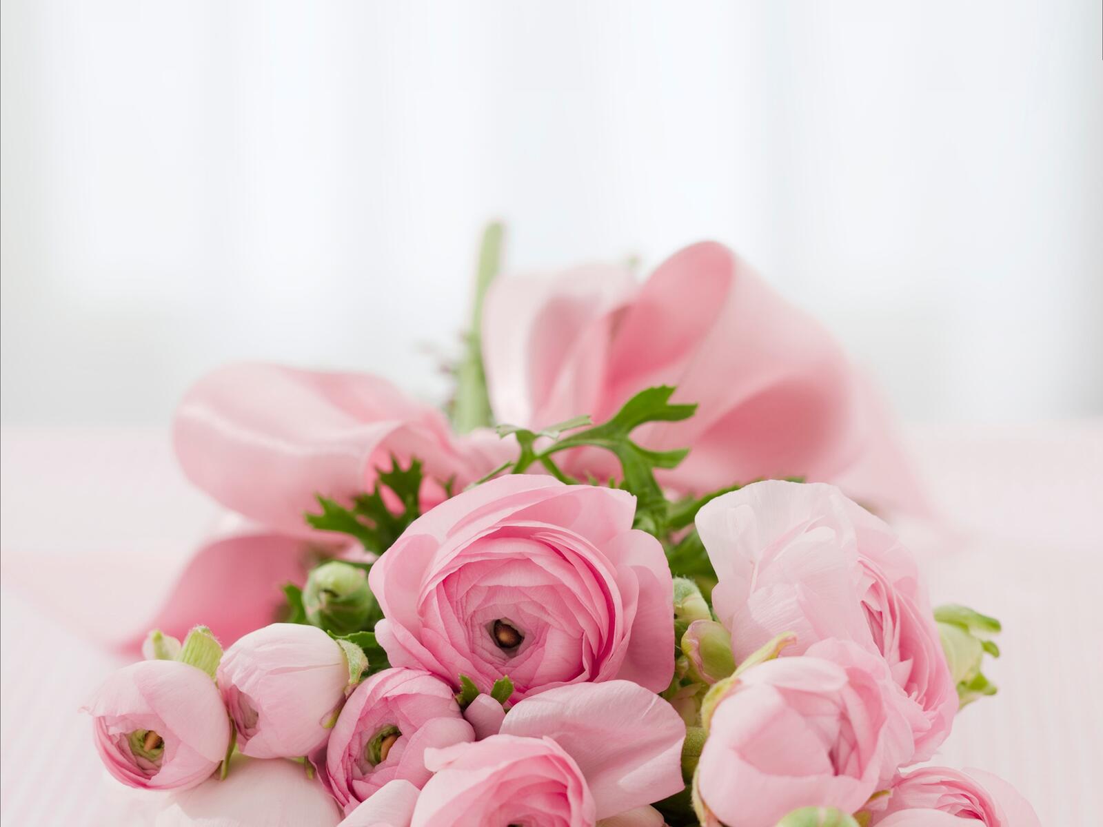 Free photo Bouquet of pink roses on a blurry light background