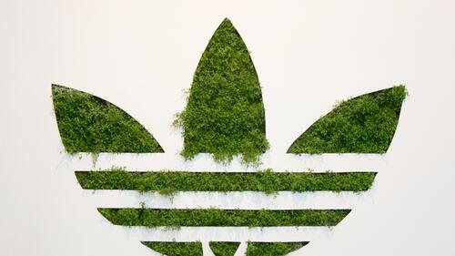 Grass grows in the adidas logo on a light background