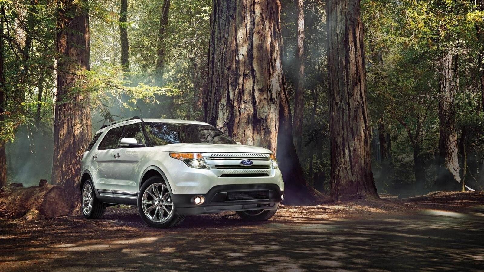 Free photo White ford explorer among the big trees in the forest