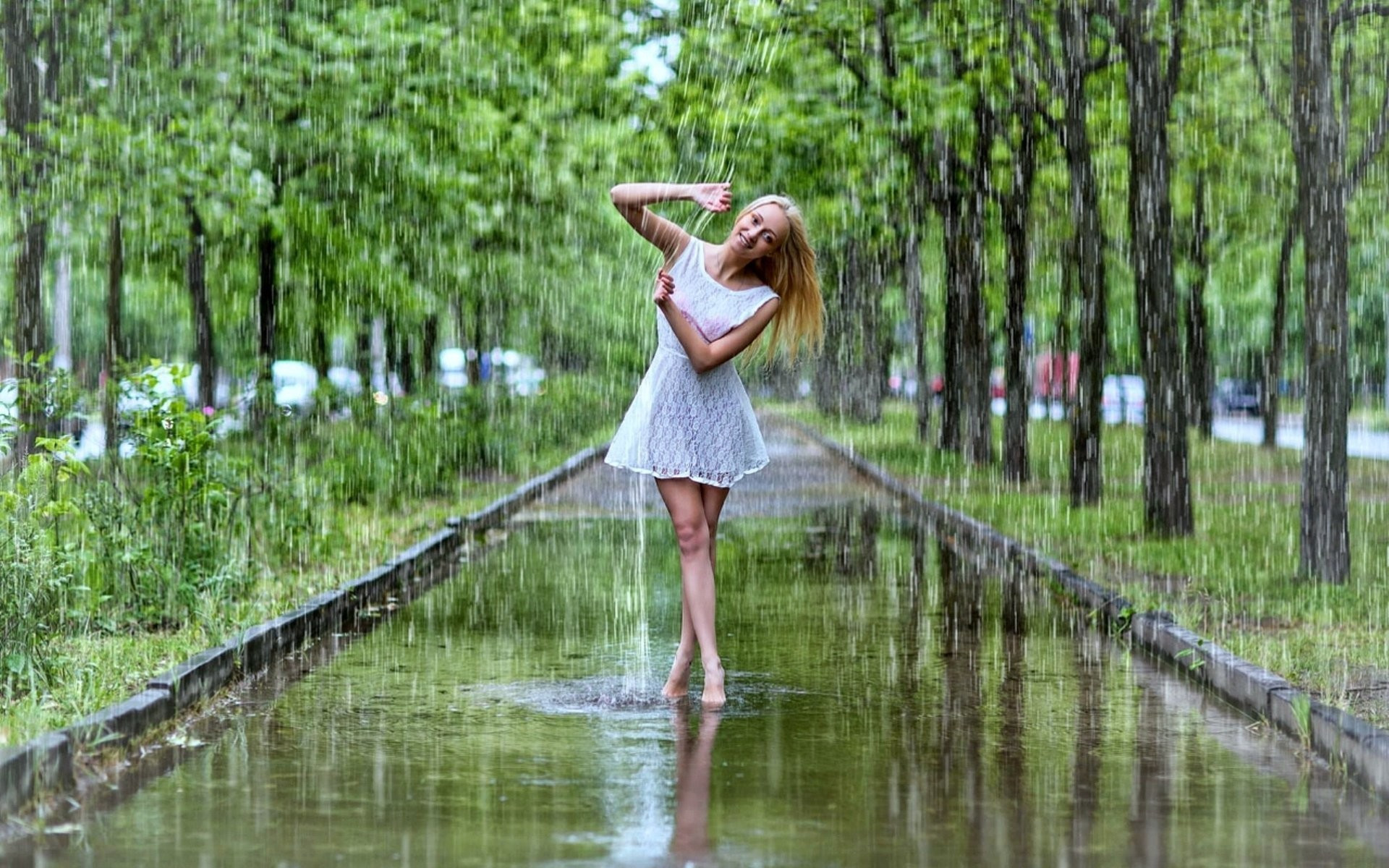 Фото бесплатно дождь, аллея, парк