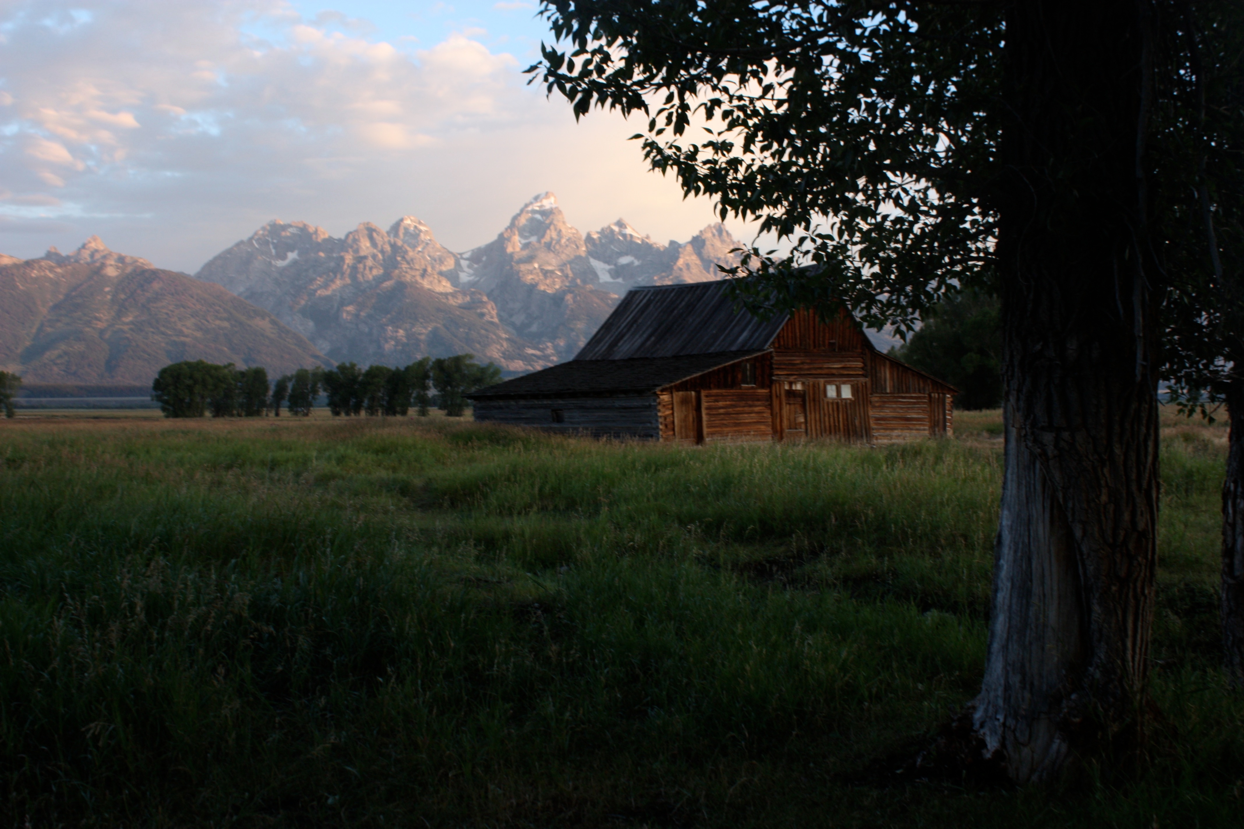 免费照片清晨草坪上的木制谷仓