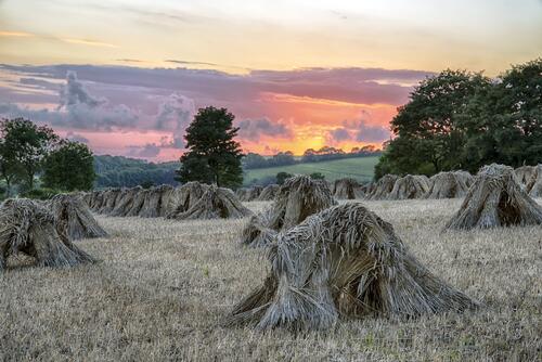 A haystack in a field at sunset