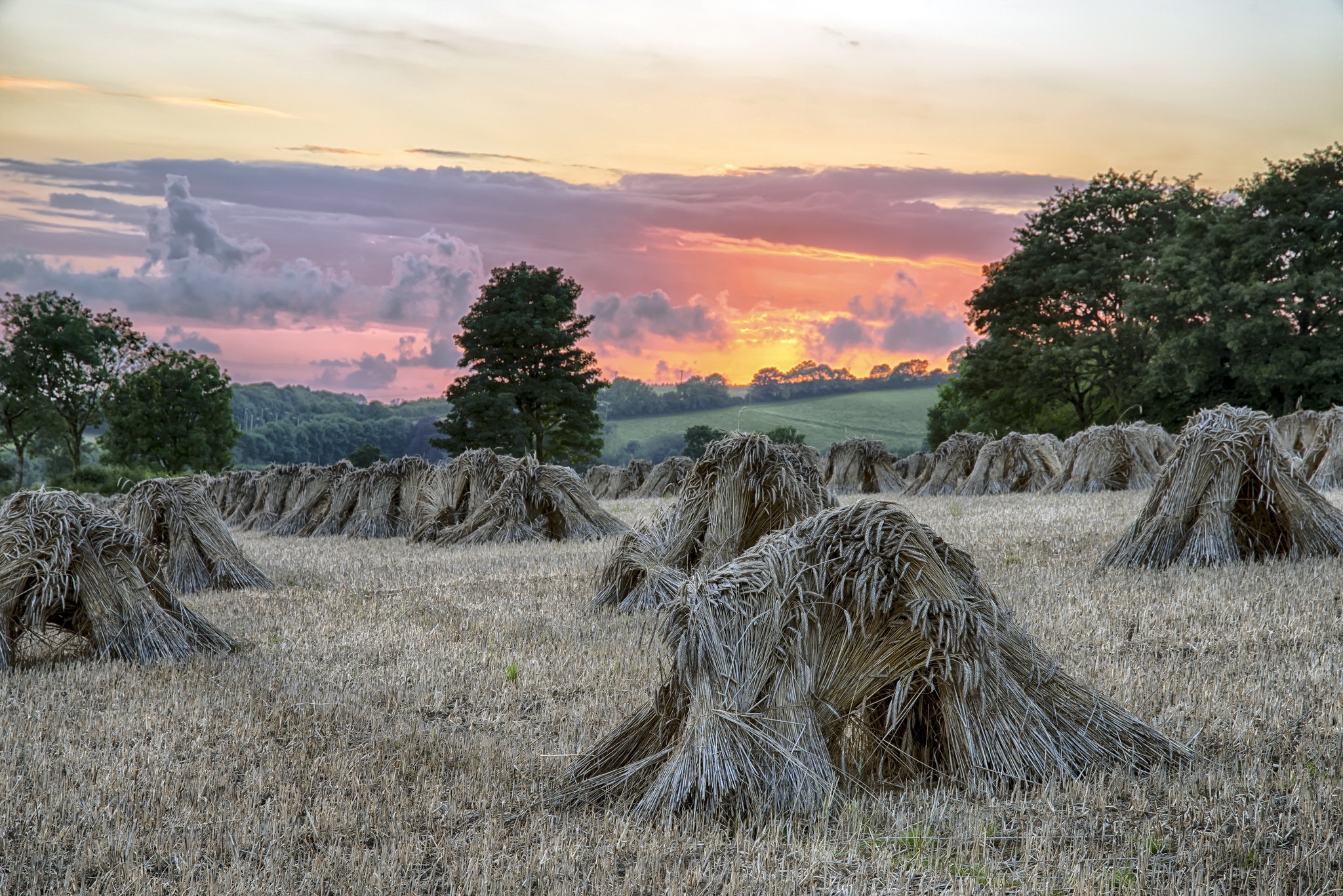 免费照片夕阳下田野中的干草堆