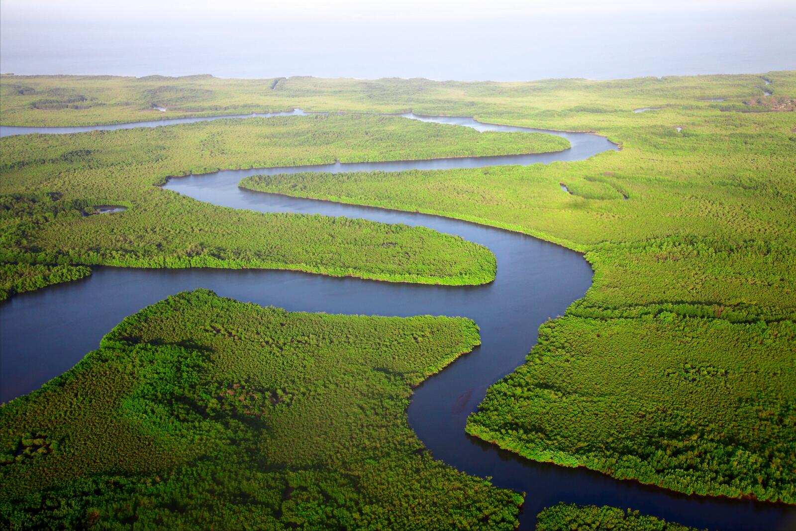 免费照片从高处俯瞰绿色河岸上的蜿蜒河流