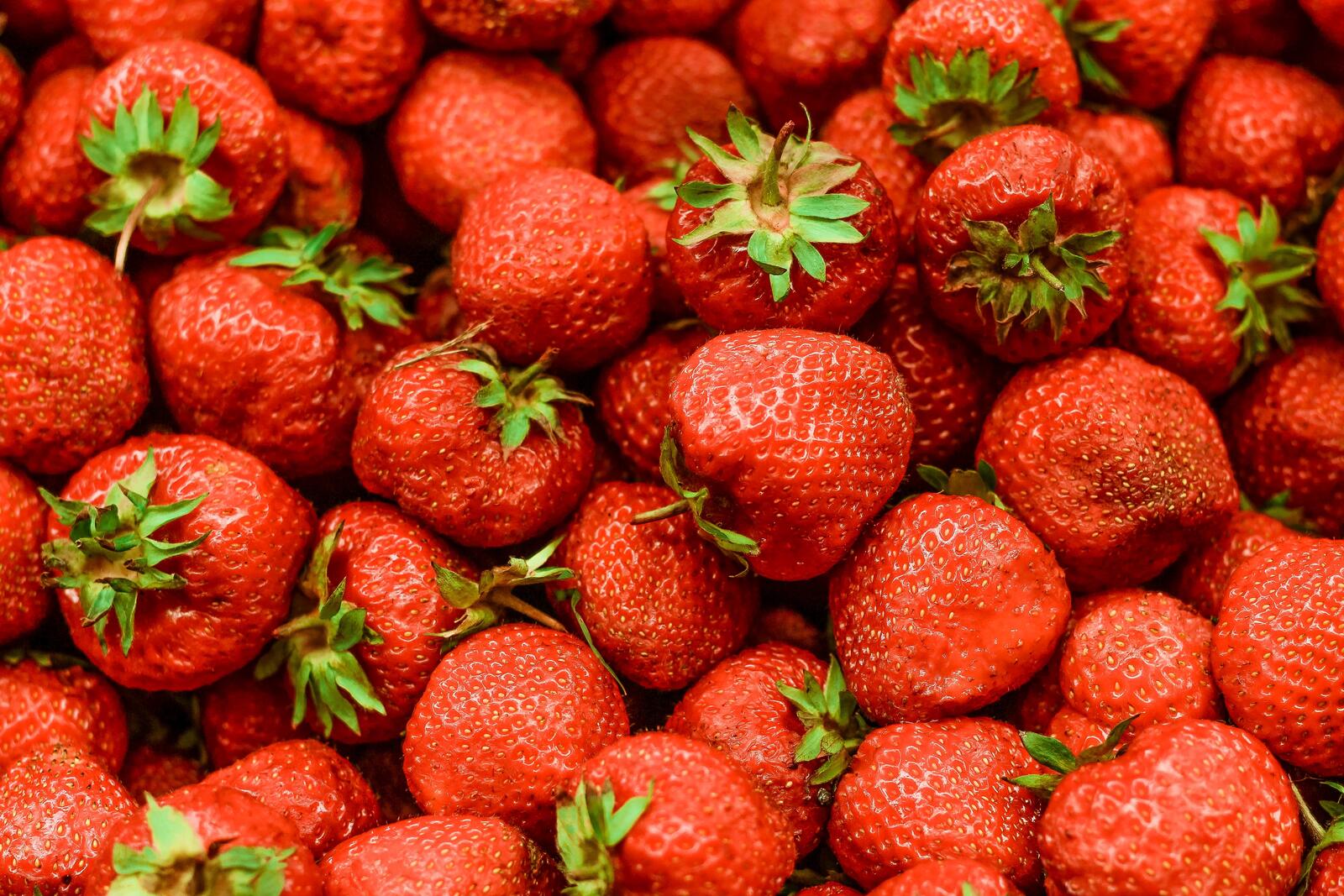 Бесплатное фото Спелые ягоды клубники