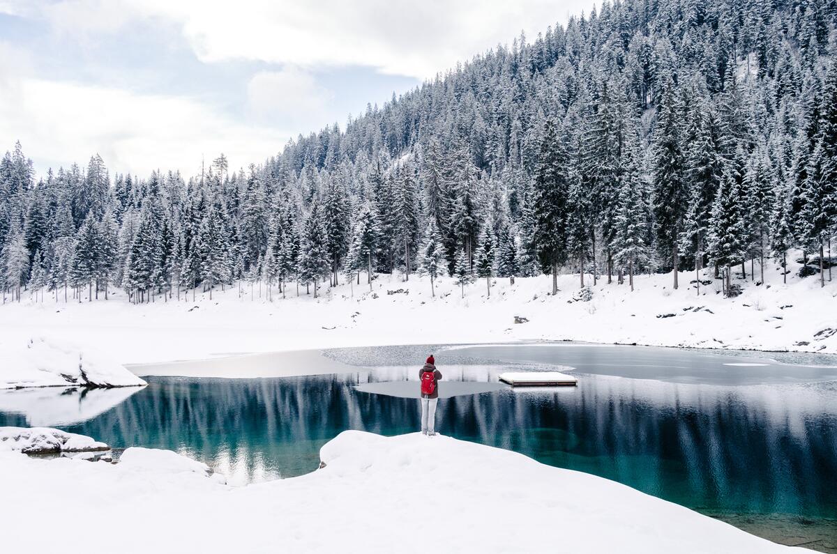 A freezing forest lake