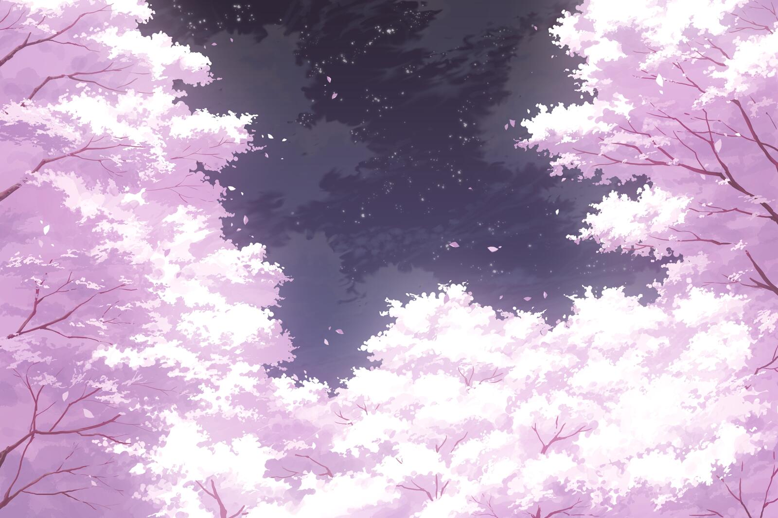 Обои обои цветение сакуры живописный небо на рабочий стол