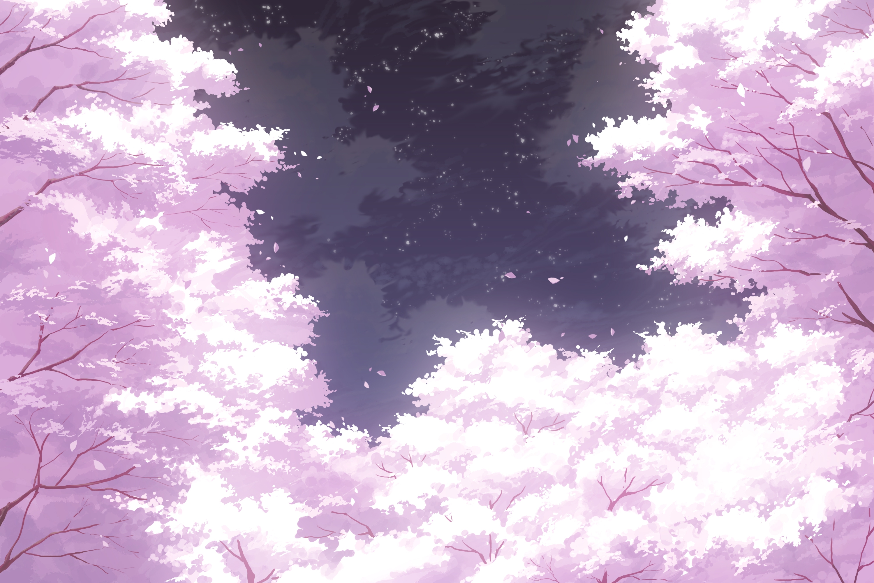 Photo free wallpaper sakura blossom, picturesque, sky