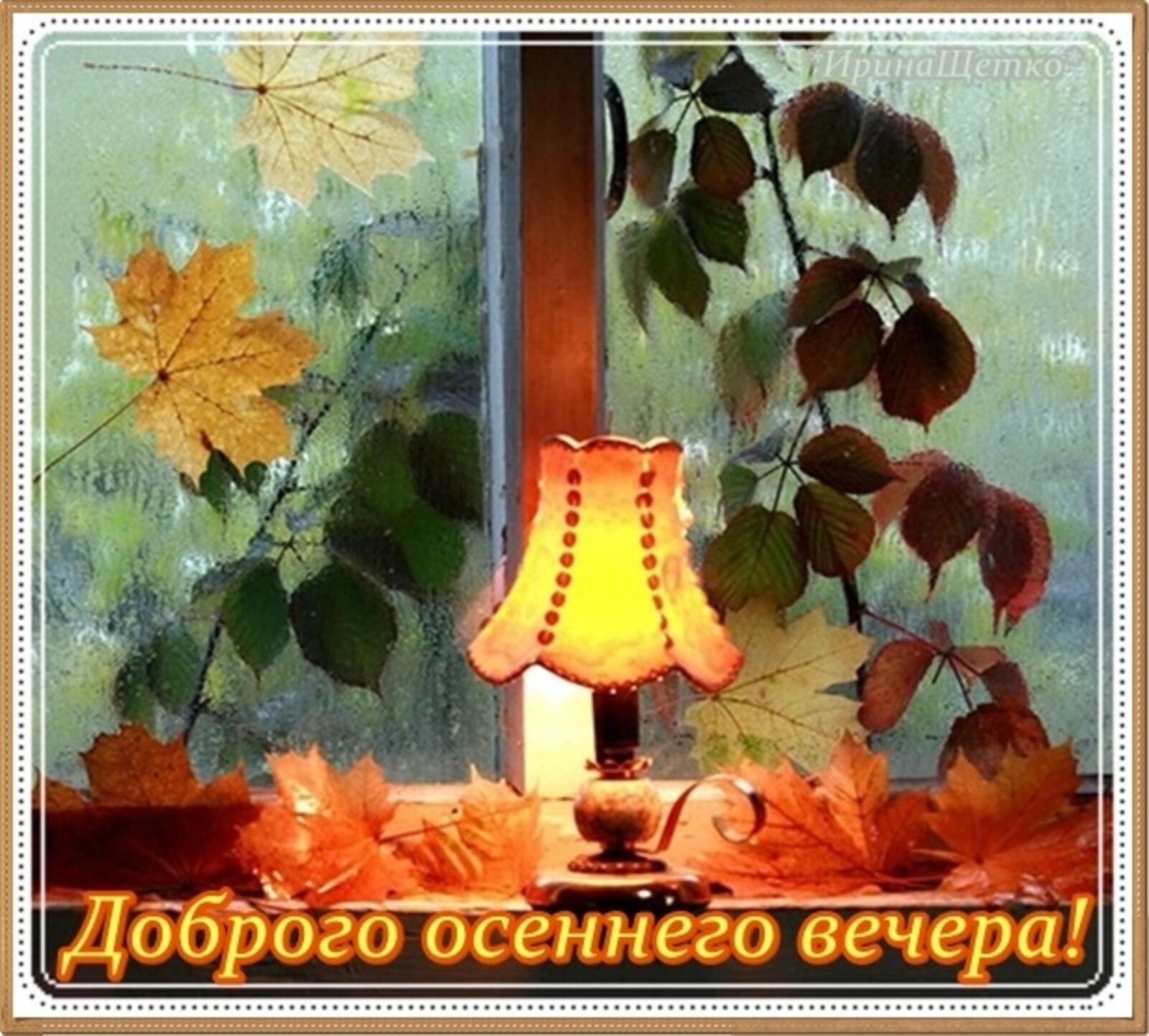 Have a nice fall evening