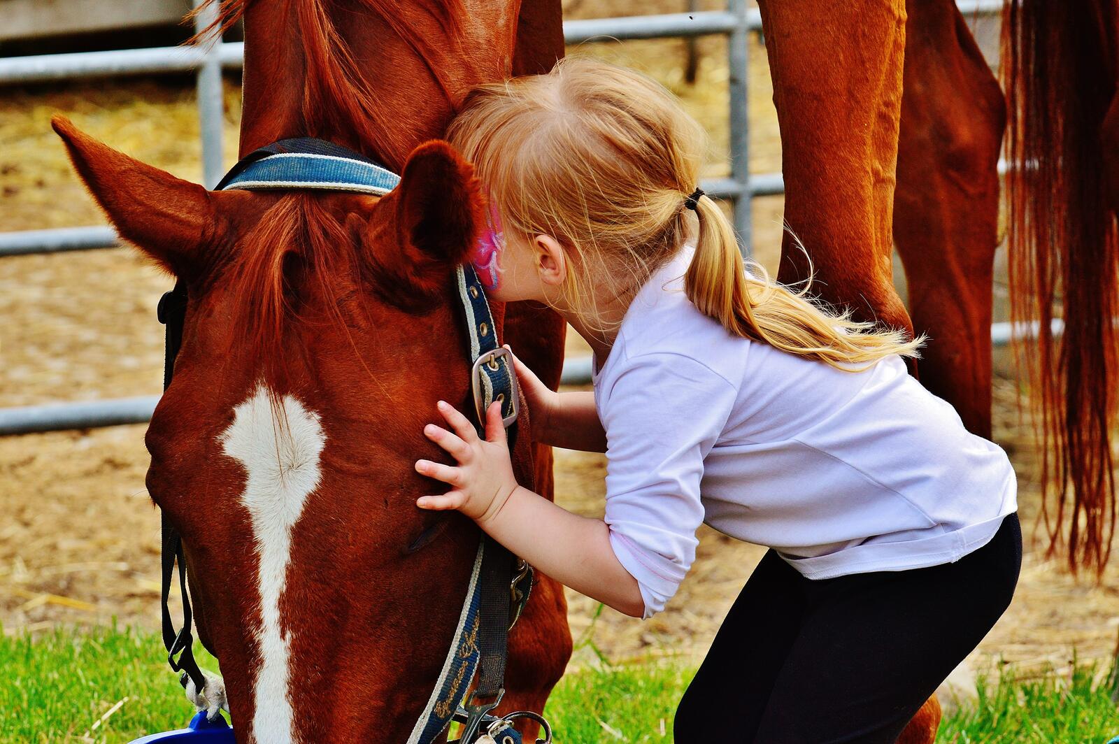Бесплатное фото Девочка играет с лошадью