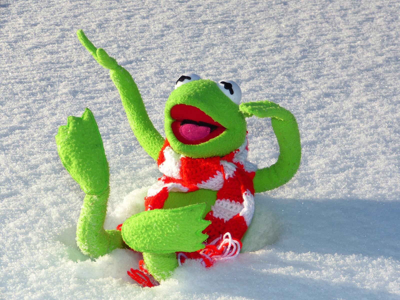Бесплатное фото Мягкая зеленая лягушка на снегу