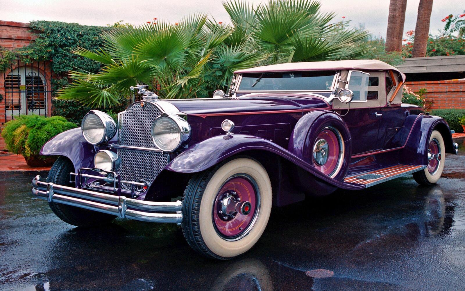 Wallpapers car Packard violet on the desktop