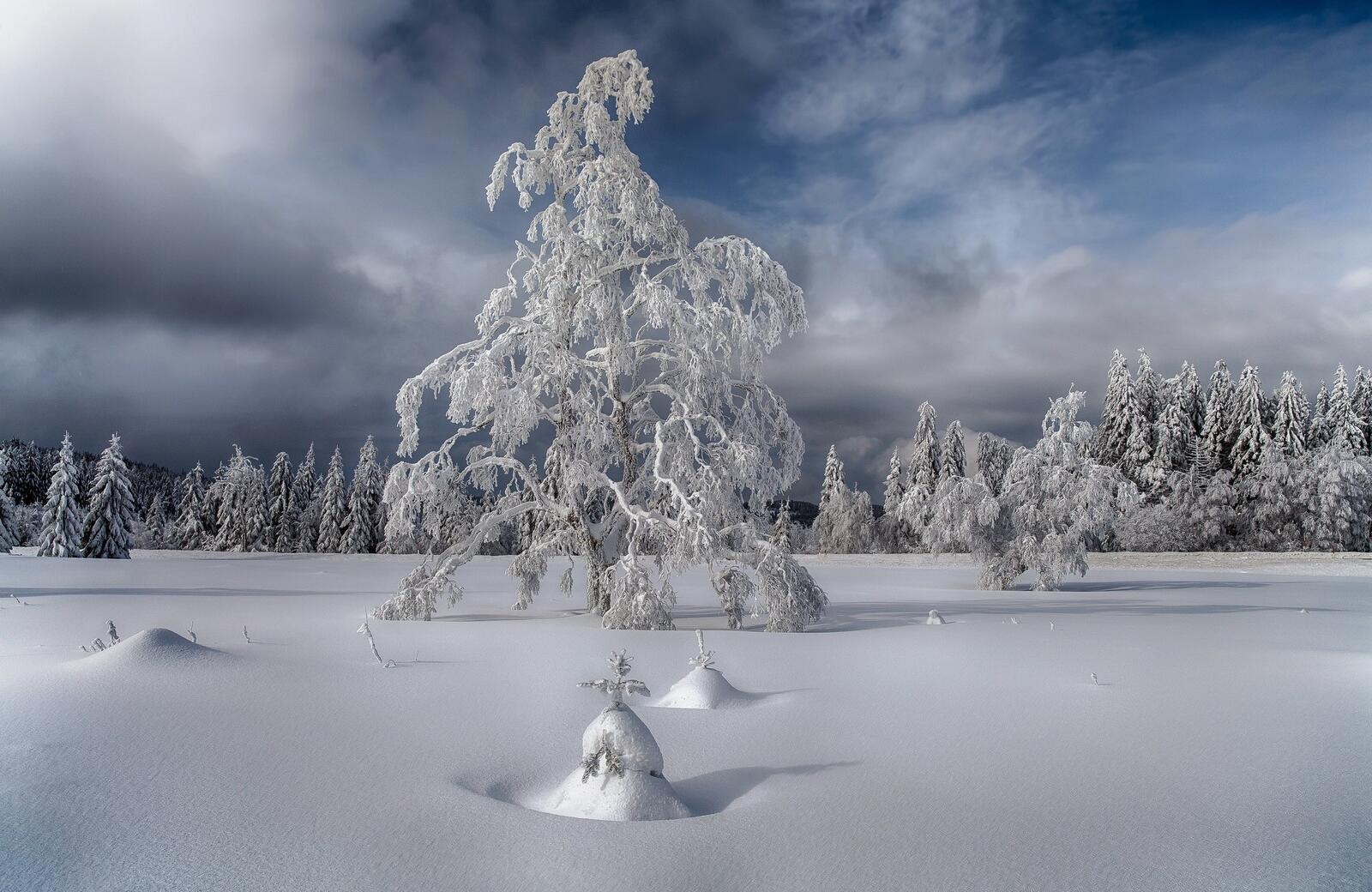 Бесплатное фото Большое снежное поле