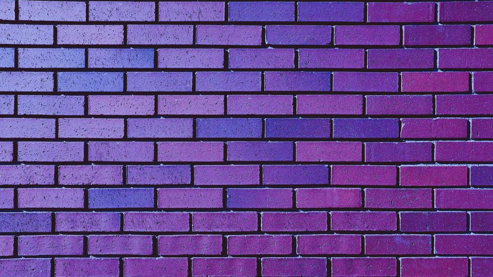 Free photo A purple-colored brick wall