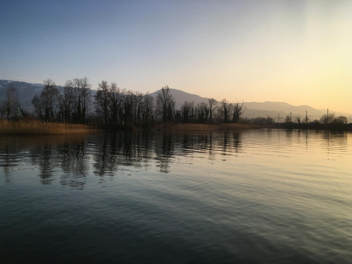 Осеннее утро на озере