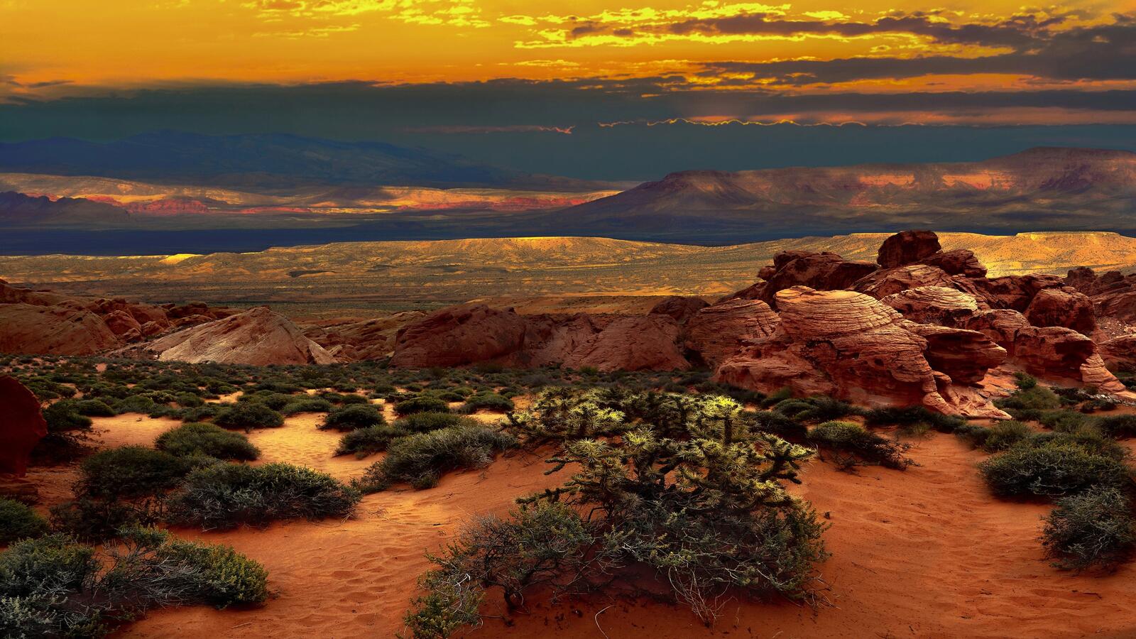 Бесплатное фото Красочная пустыня Невада в США