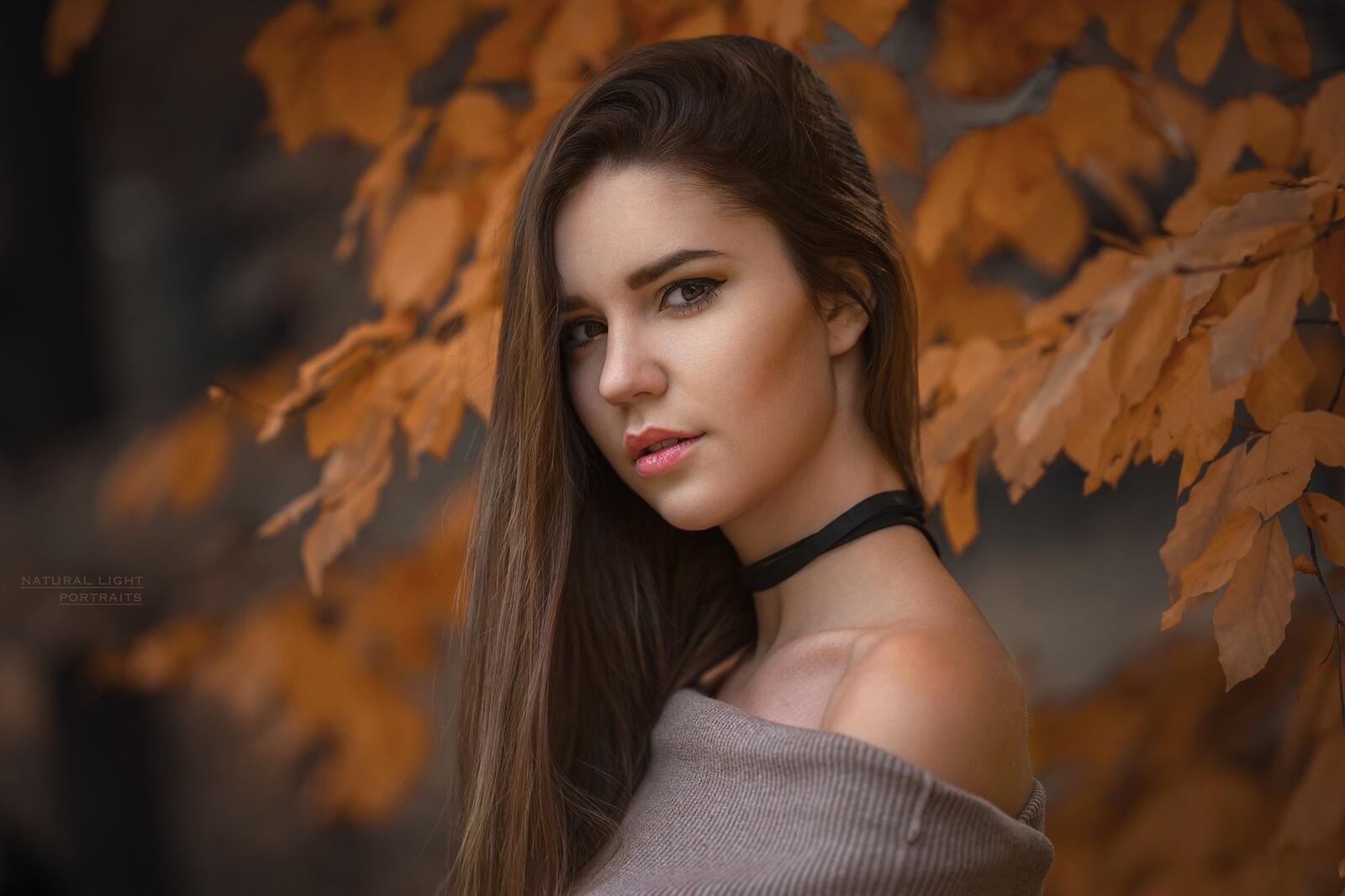 Бесплатное фото Темноволосая девушка на фоне желтой листвы