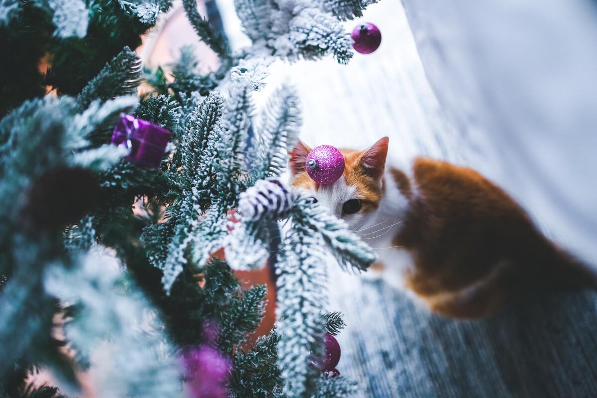 Рыжий кот играется с новогодними игрушками у ёлки