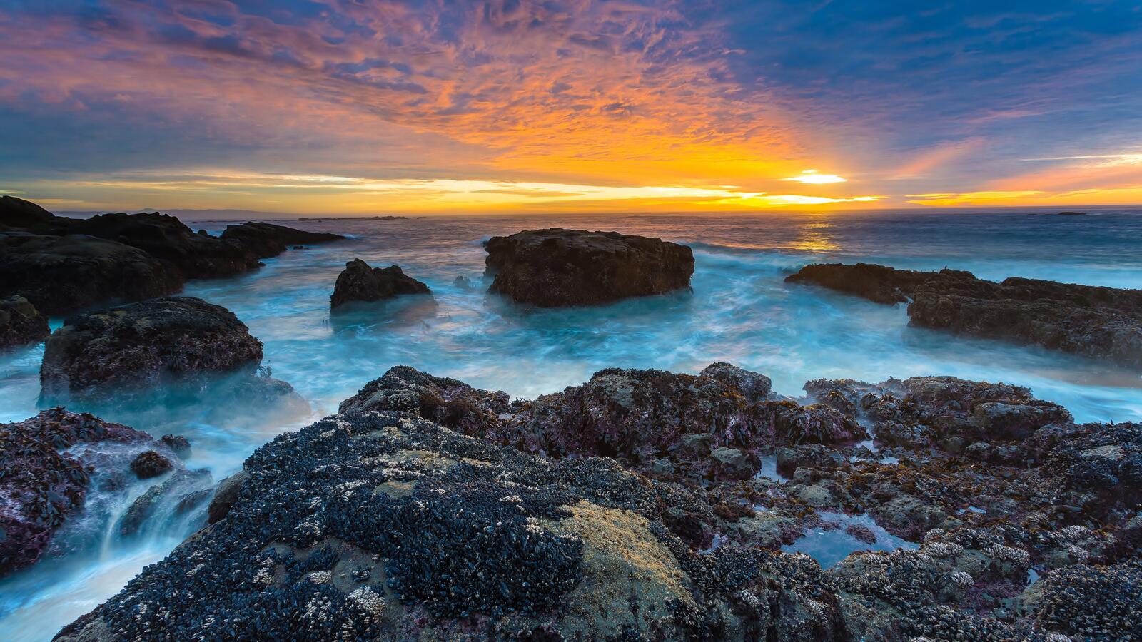 Бесплатное фото Обои с красивым морским закатом