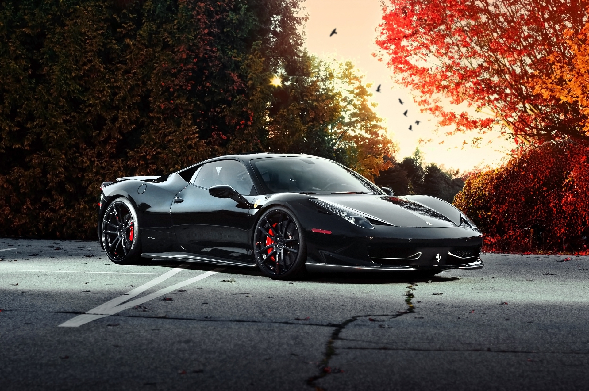 Free photo A black ferrari against the backdrop of an autumn forest