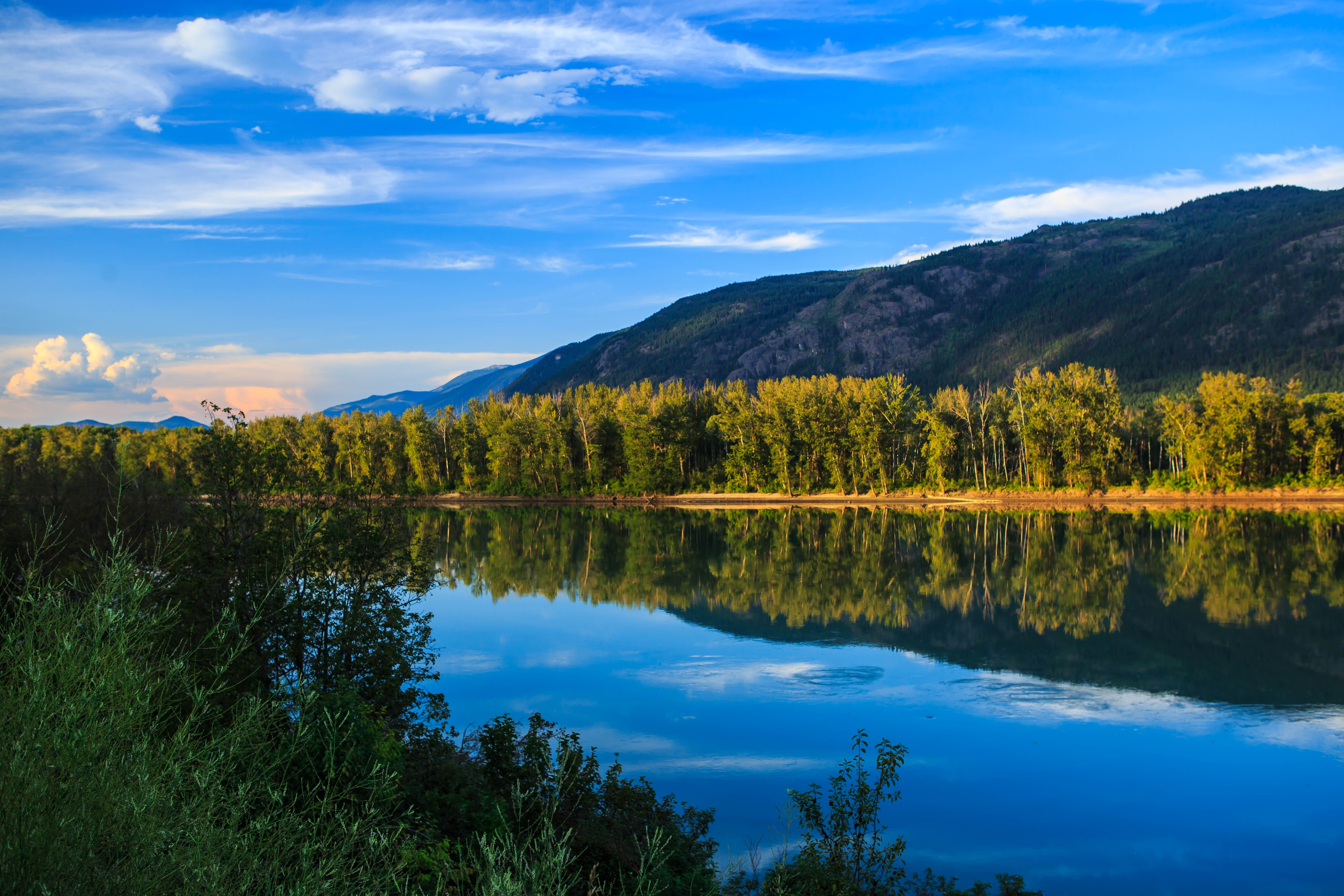 Бесплатное фото Красивая спокойная река с отражением неба и деревьев