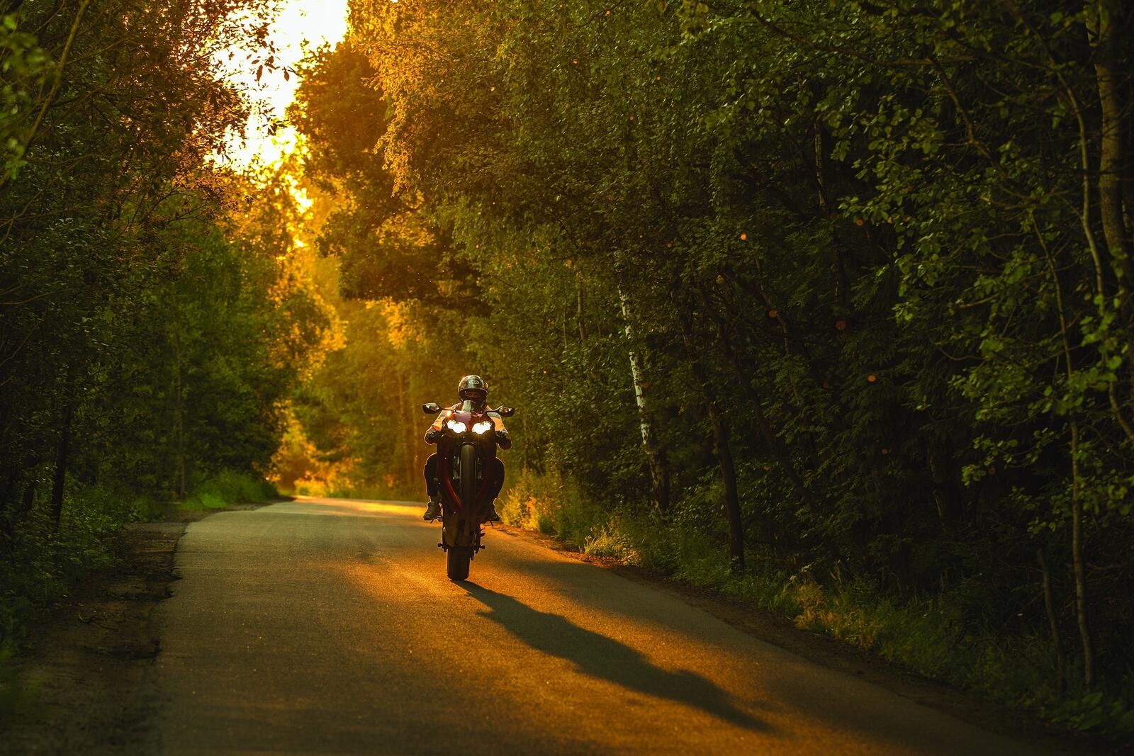 Бесплатное фото Honda cbr 1000 едет на заднем колесе по лесу на закате