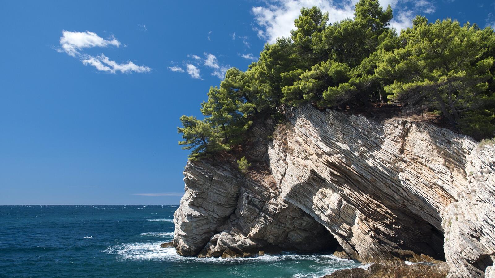 Free photo A cliff with trees on the seashore