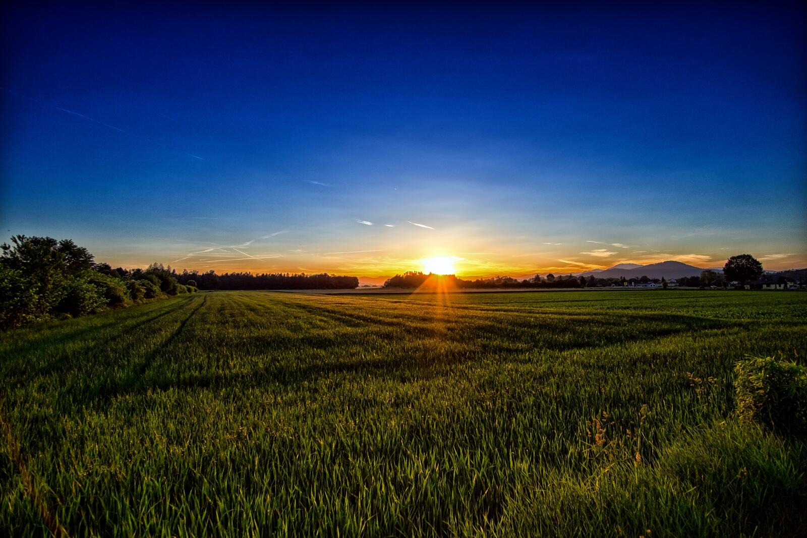 Бесплатное фото Зеленое поле на закате