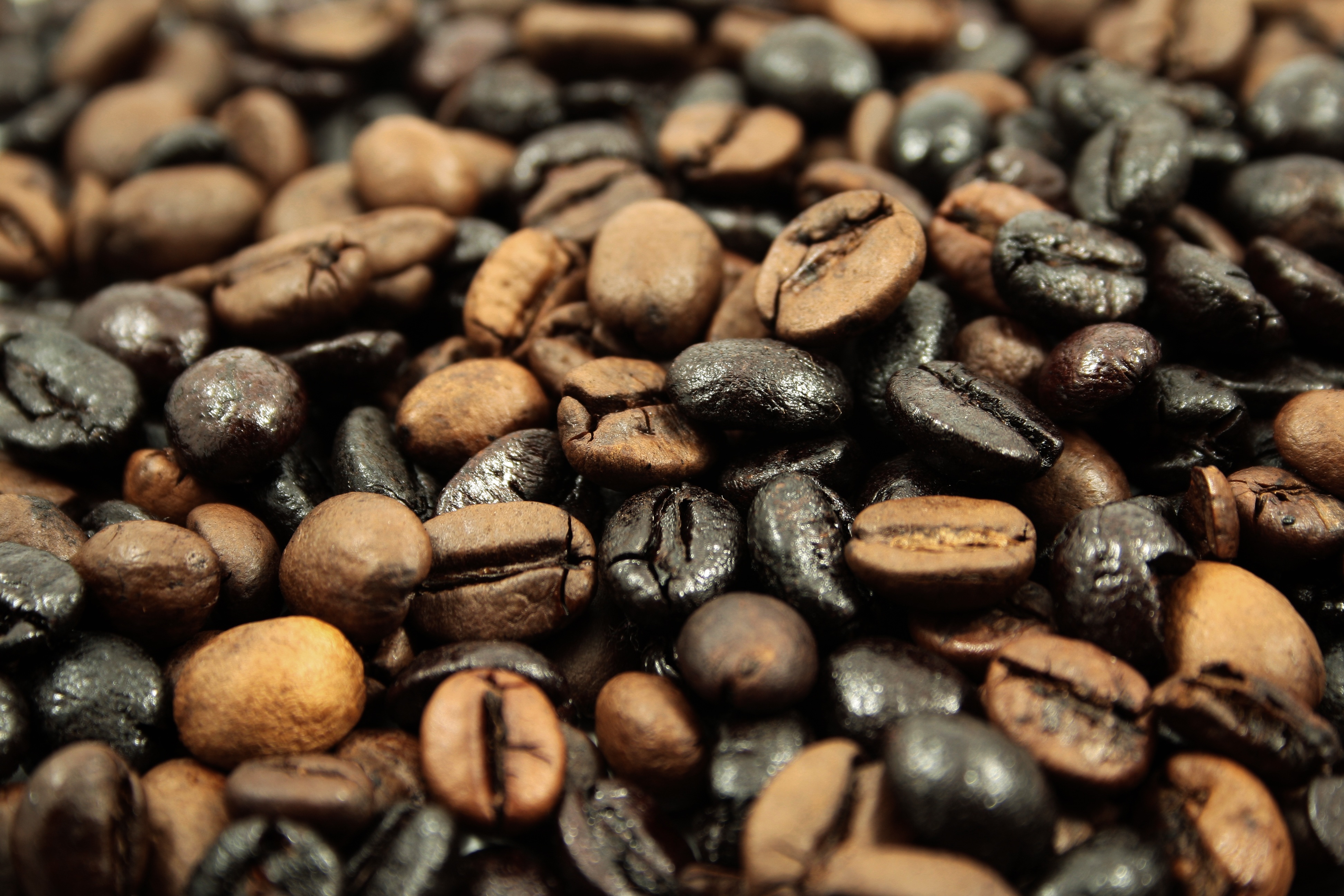 Free photo Coffee beans