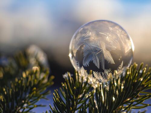 Frost on a round glass ball lying on a branch of a fir tree