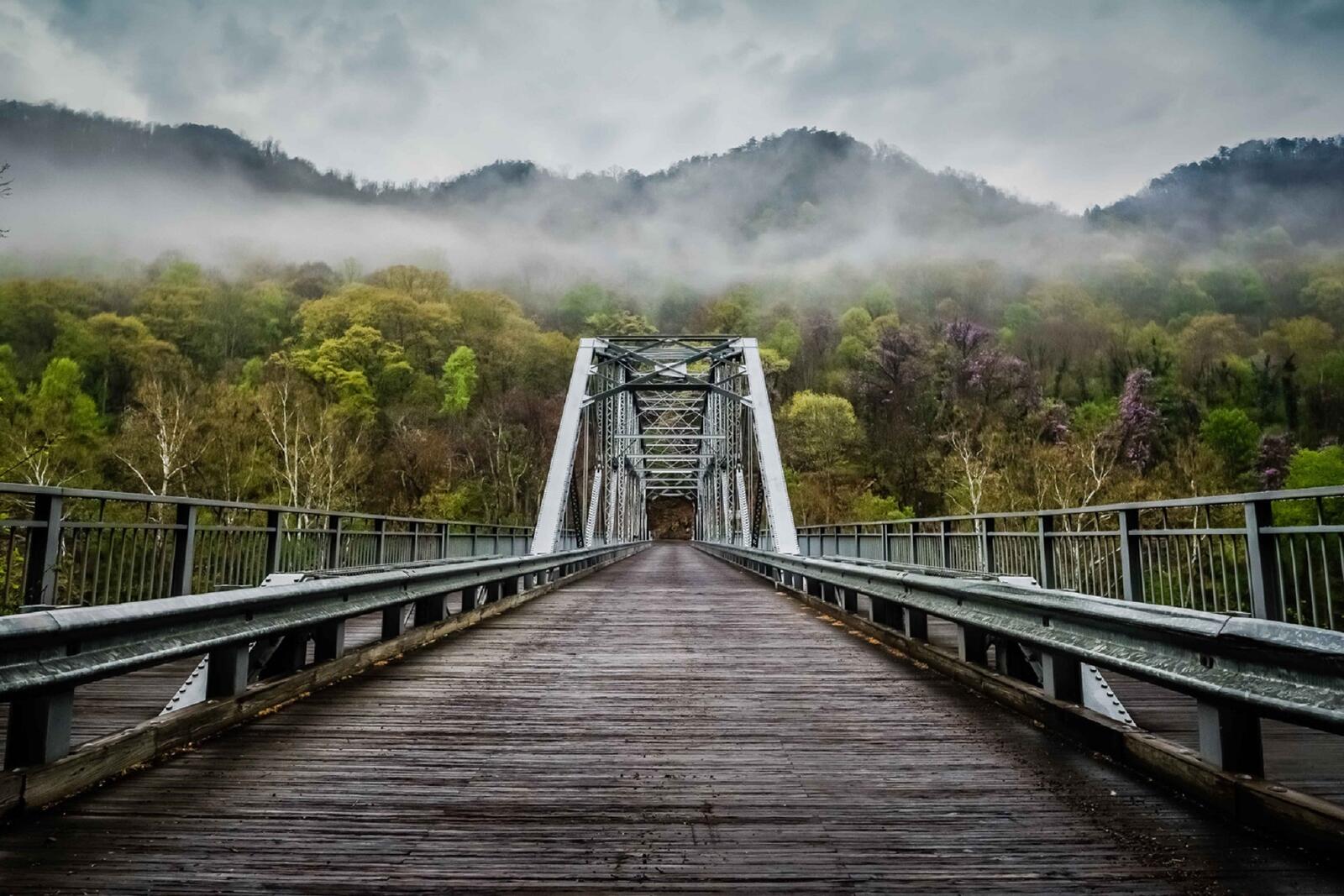 Бесплатное фото Большой мост ведущий в лес