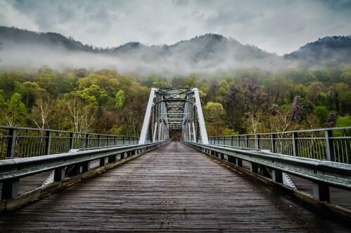 Большой мост ведущий в лес