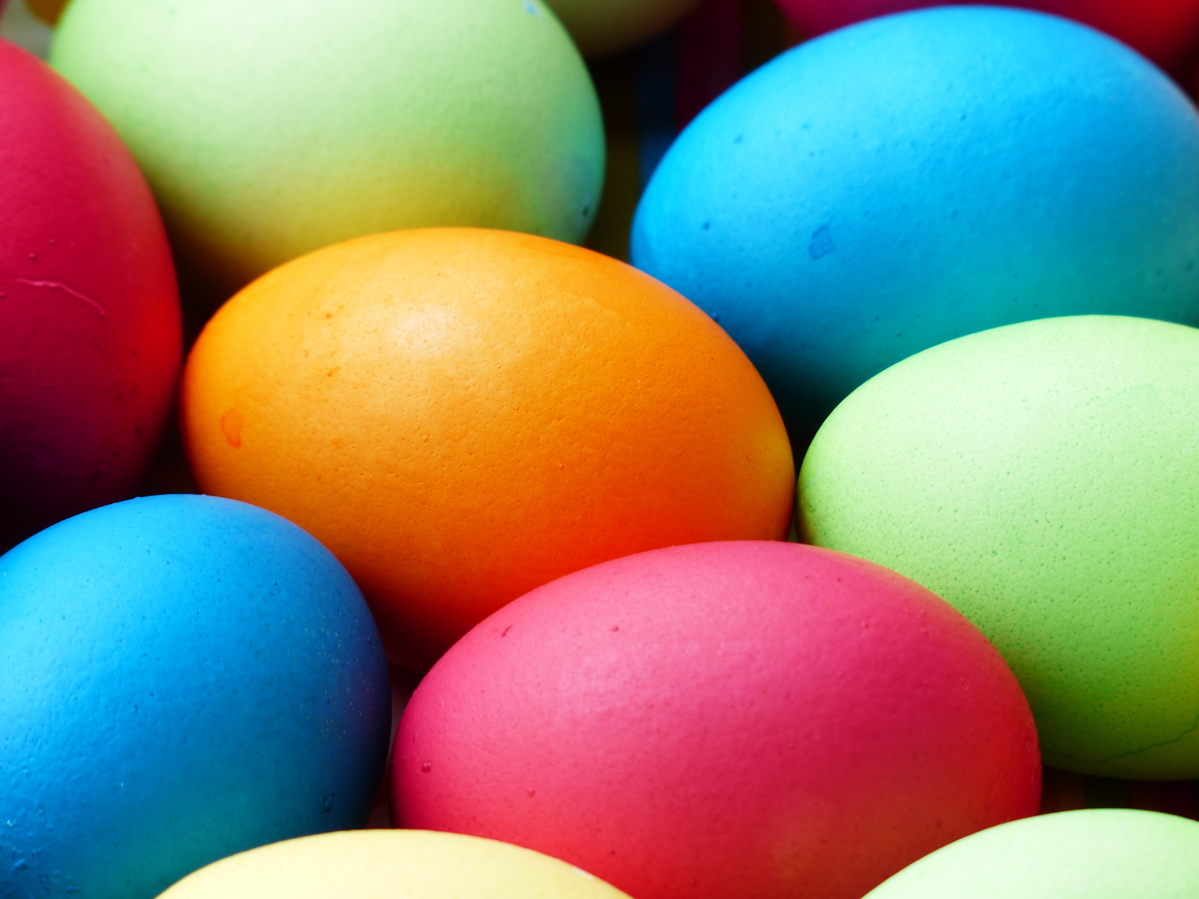 Бесплатное фото Цветные яйца