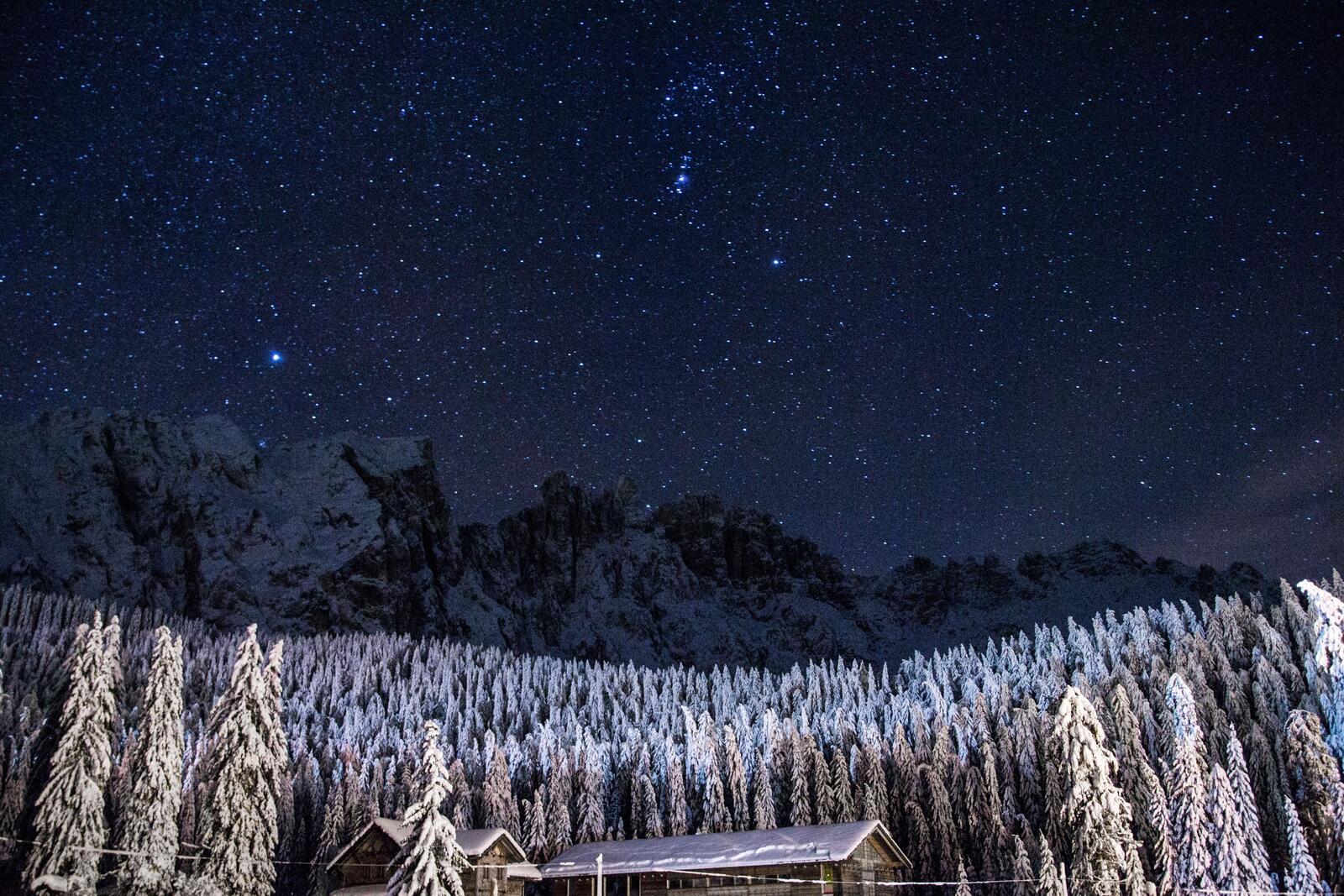 Бесплатное фото Звездное зимнее небо в лесу над крышей дома