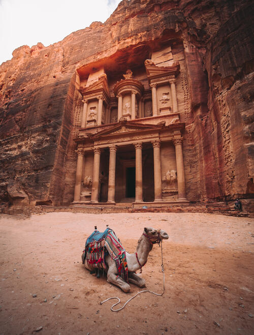 A camel lies in the background of Al Khazneh in Jordan