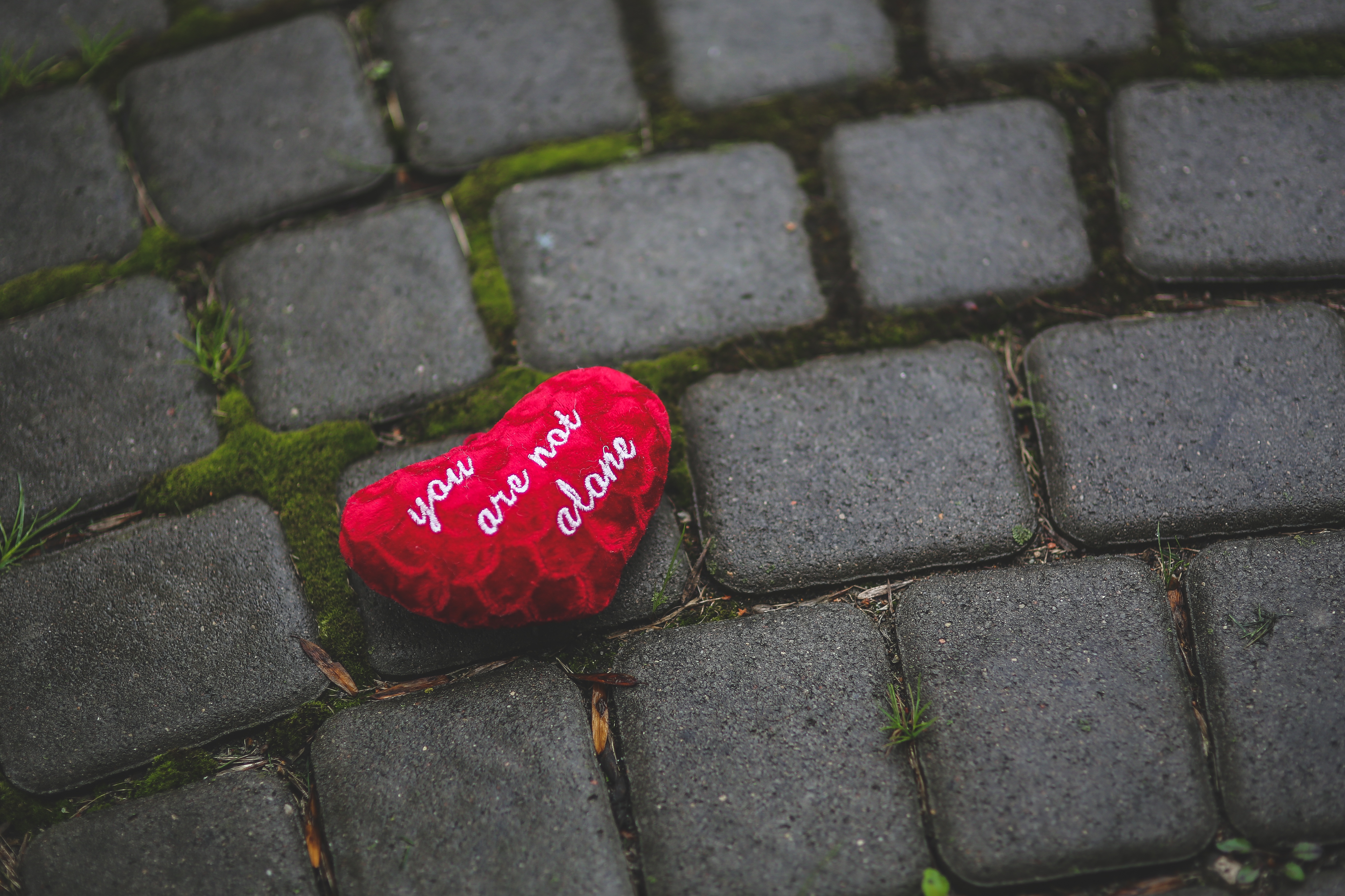 Free photo Red plush egg on a cobblestone road