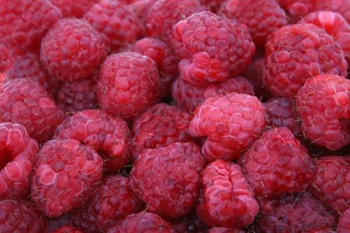 Close-up of ripe raspberries in a basket