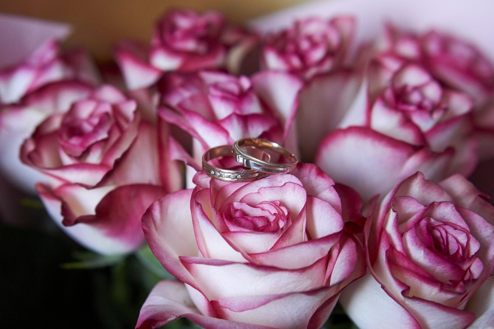 Бесплатное фото Букет бело-розовых роз