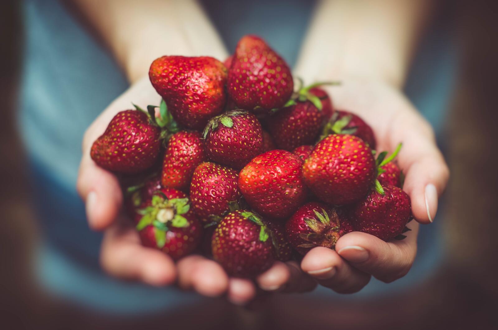 Free photo Handful of strawberries in hand