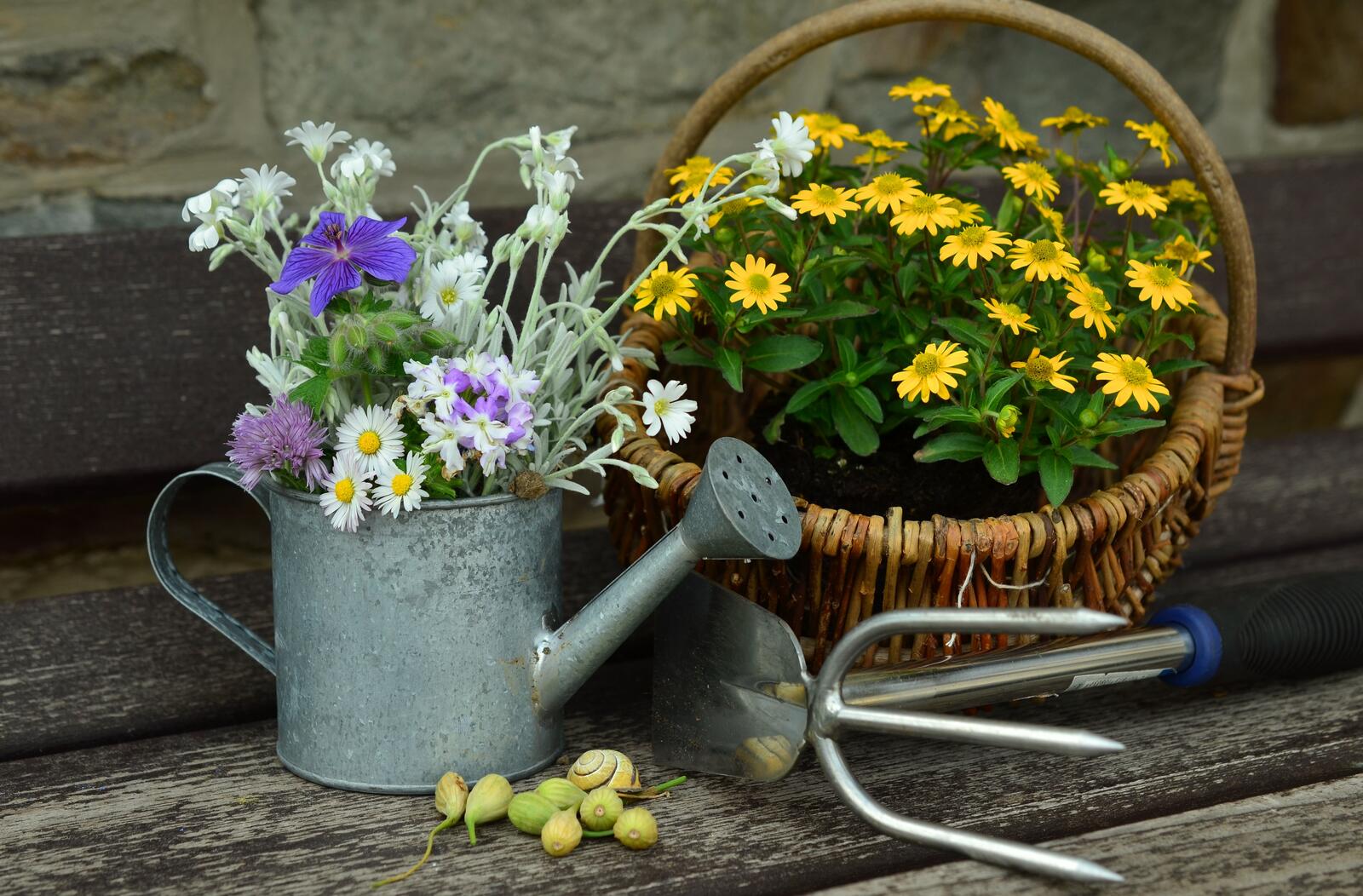 Бесплатное фото Набор садовника с лейкой и корзинкой с цветами