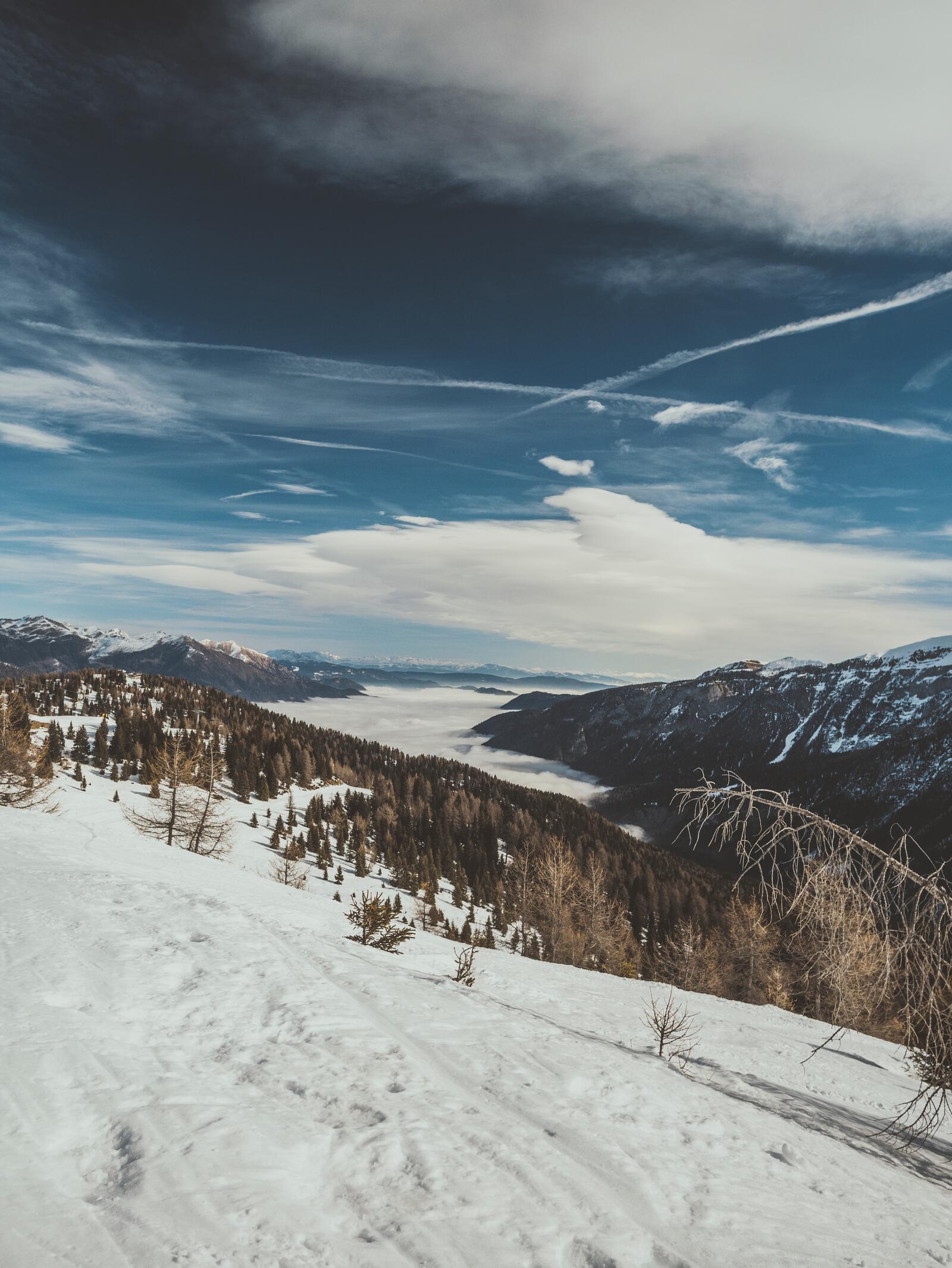 Free photo Winter slope above the clouds
