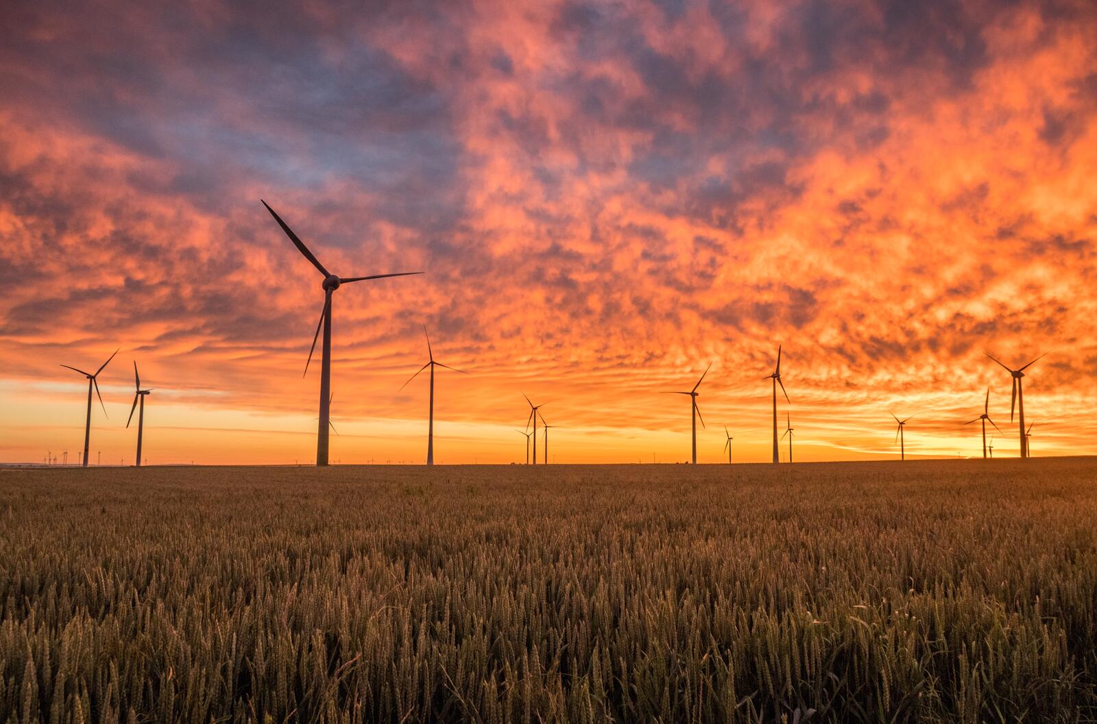 Free photo Wind farm at sunset