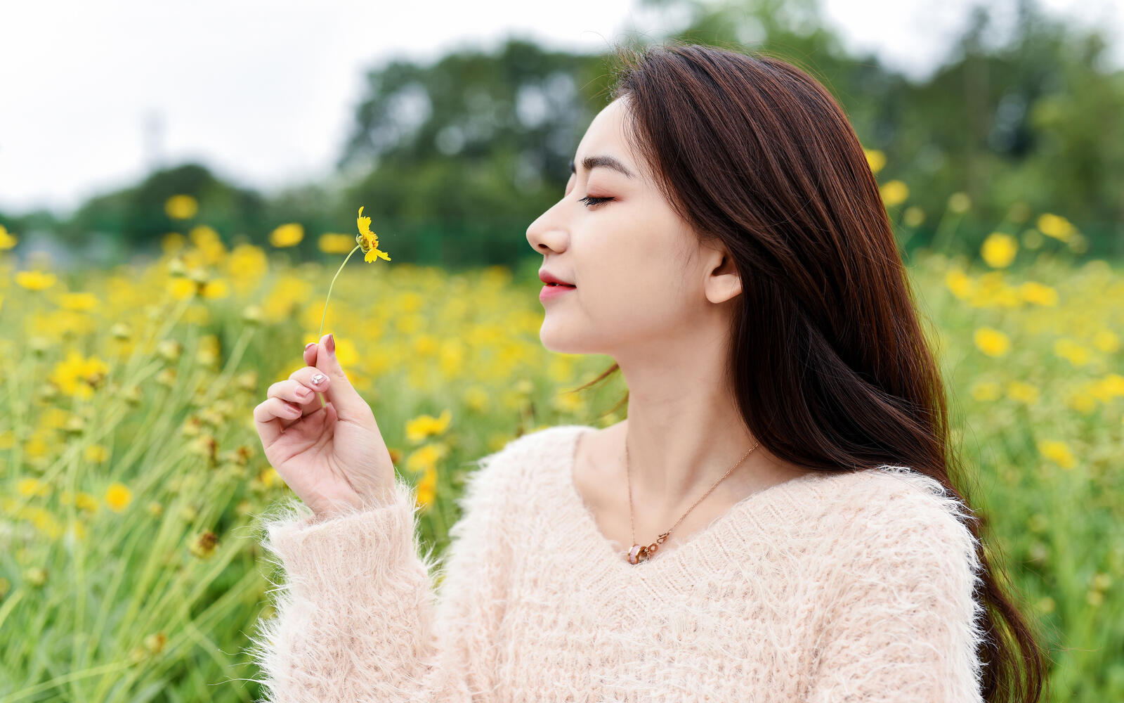 Бесплатное фото Китайская девушка на поле с желтыми цветами
