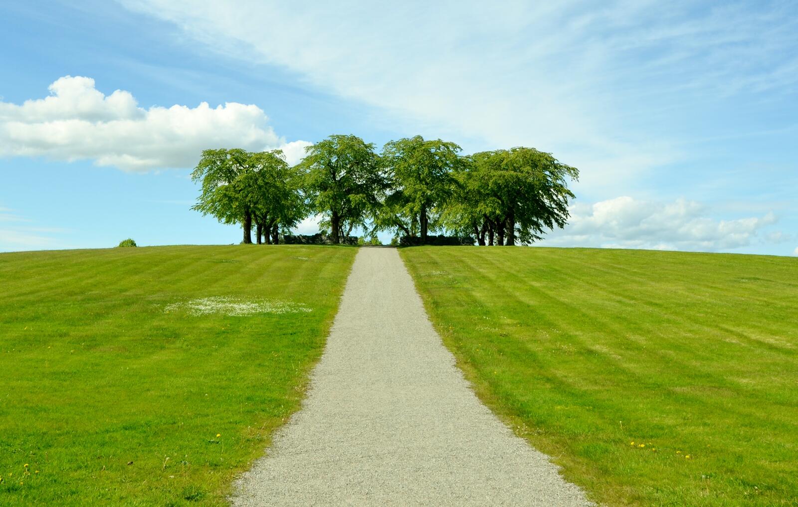 Бесплатное фото Большое поле с зеленым газоном