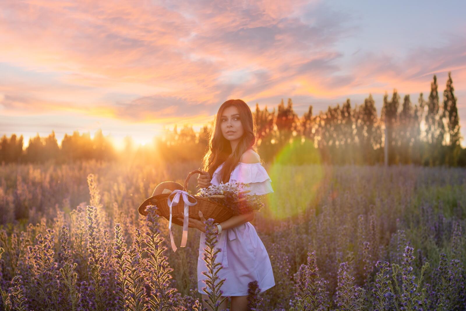 免费照片一个年轻的女孩在田野上的花