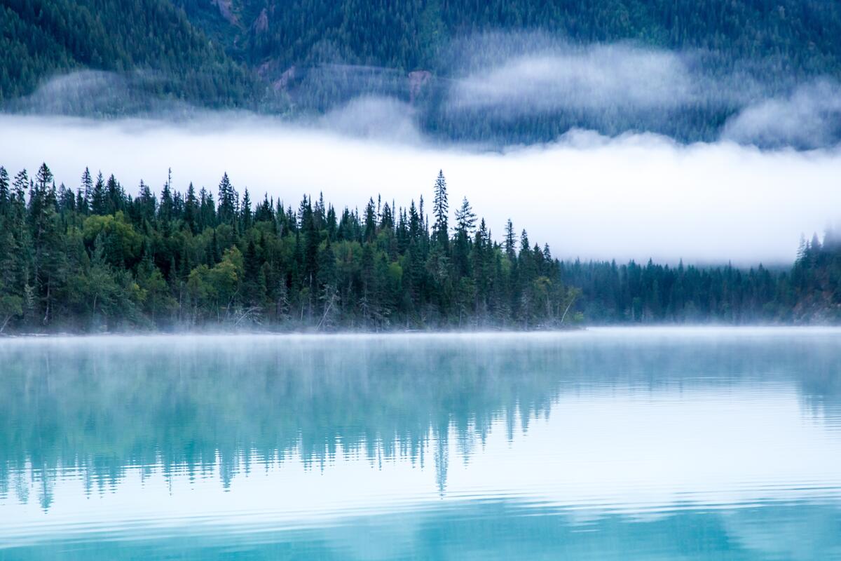 Fog over the lake near the forest